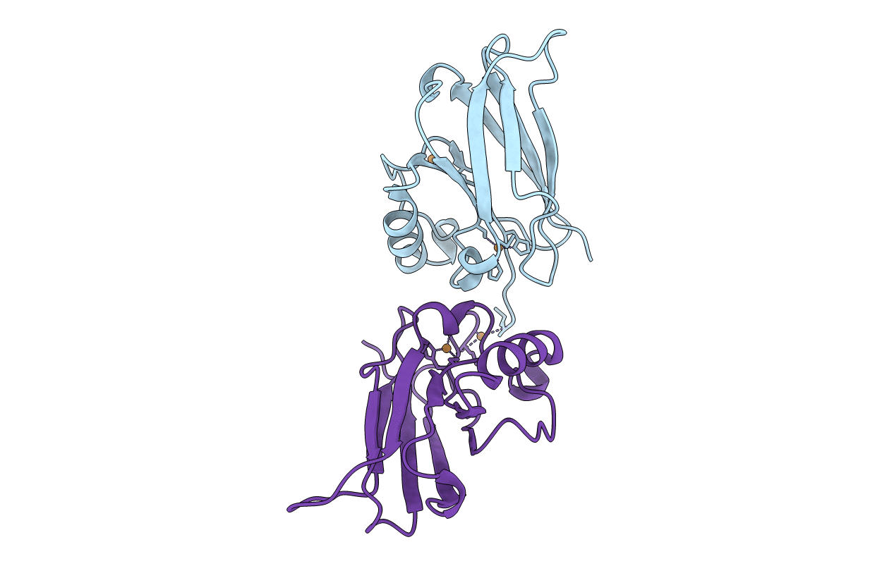 5SYD image