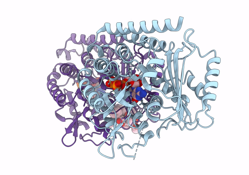 5SYF image