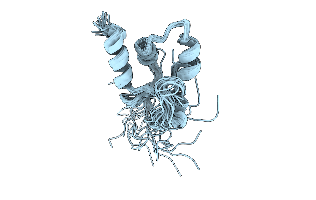 5SYQ image