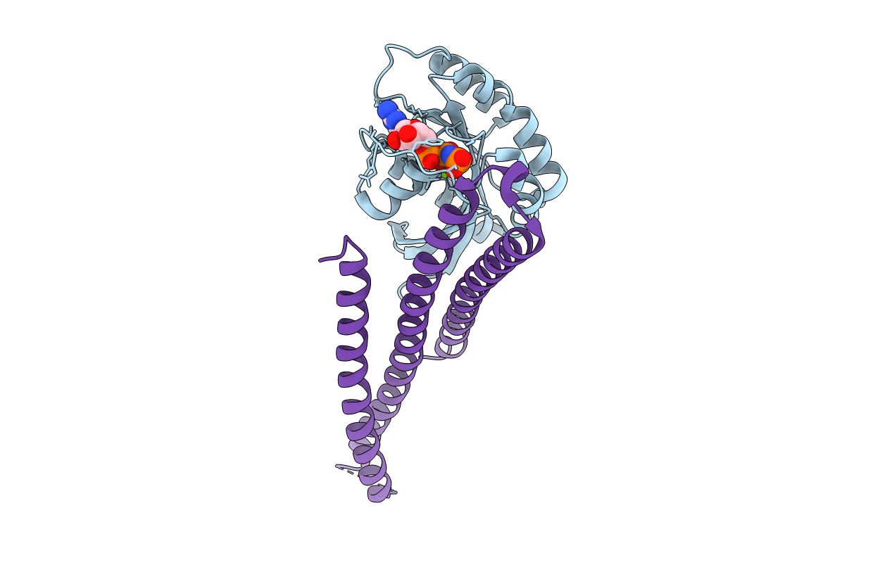 5SZI image