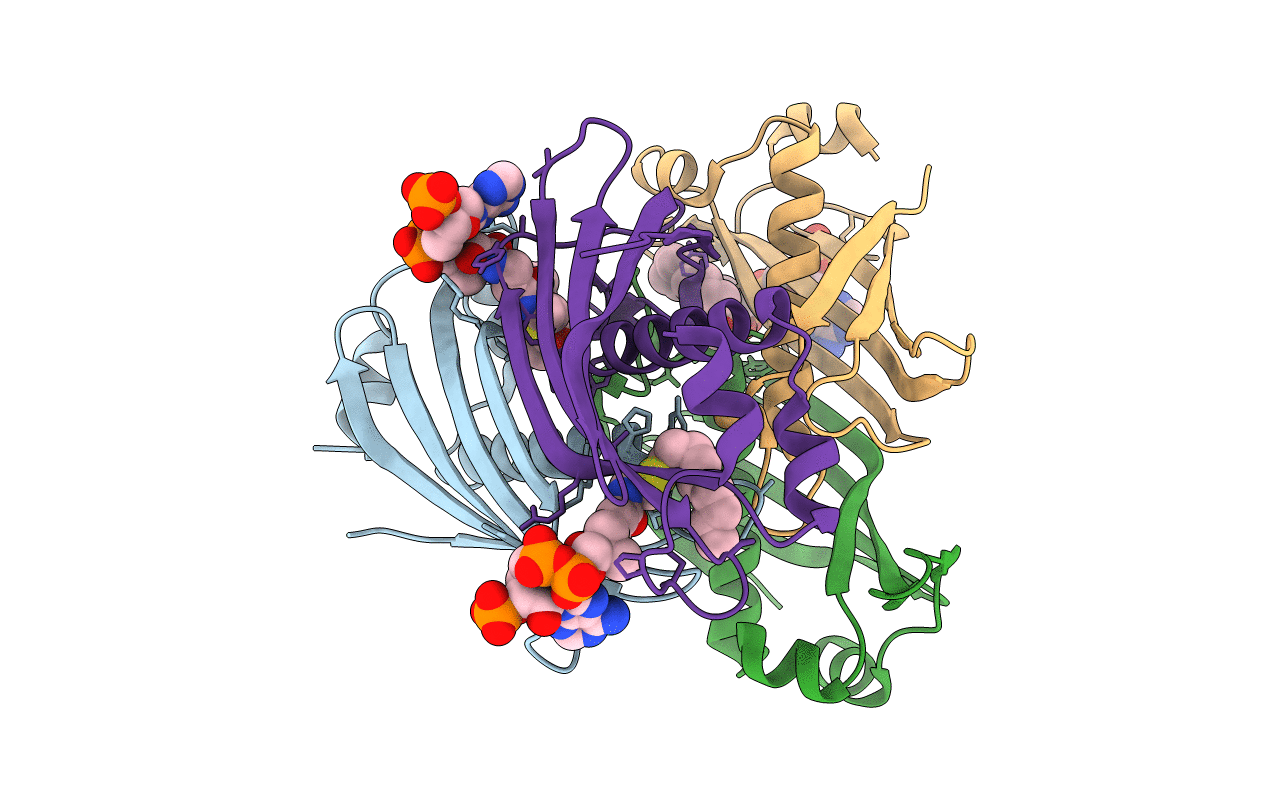 5T07 image