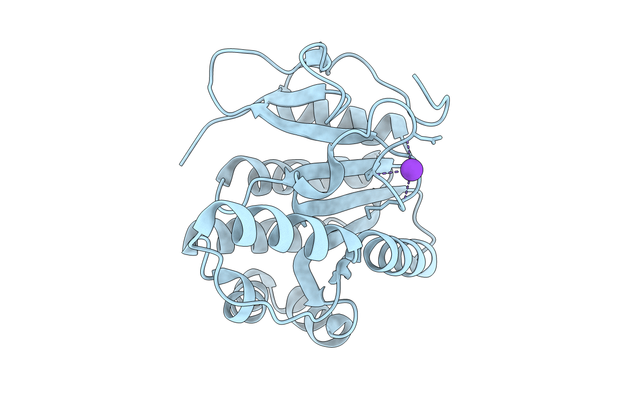 5T09 image
