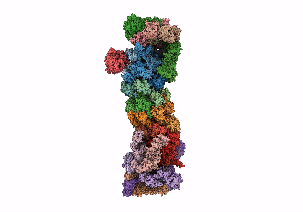 5T0C image