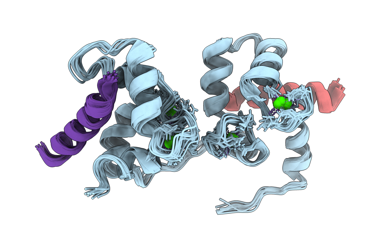 5T0X image