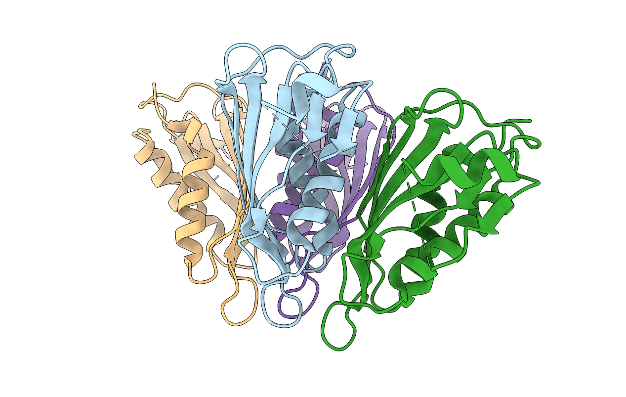 5T10 image