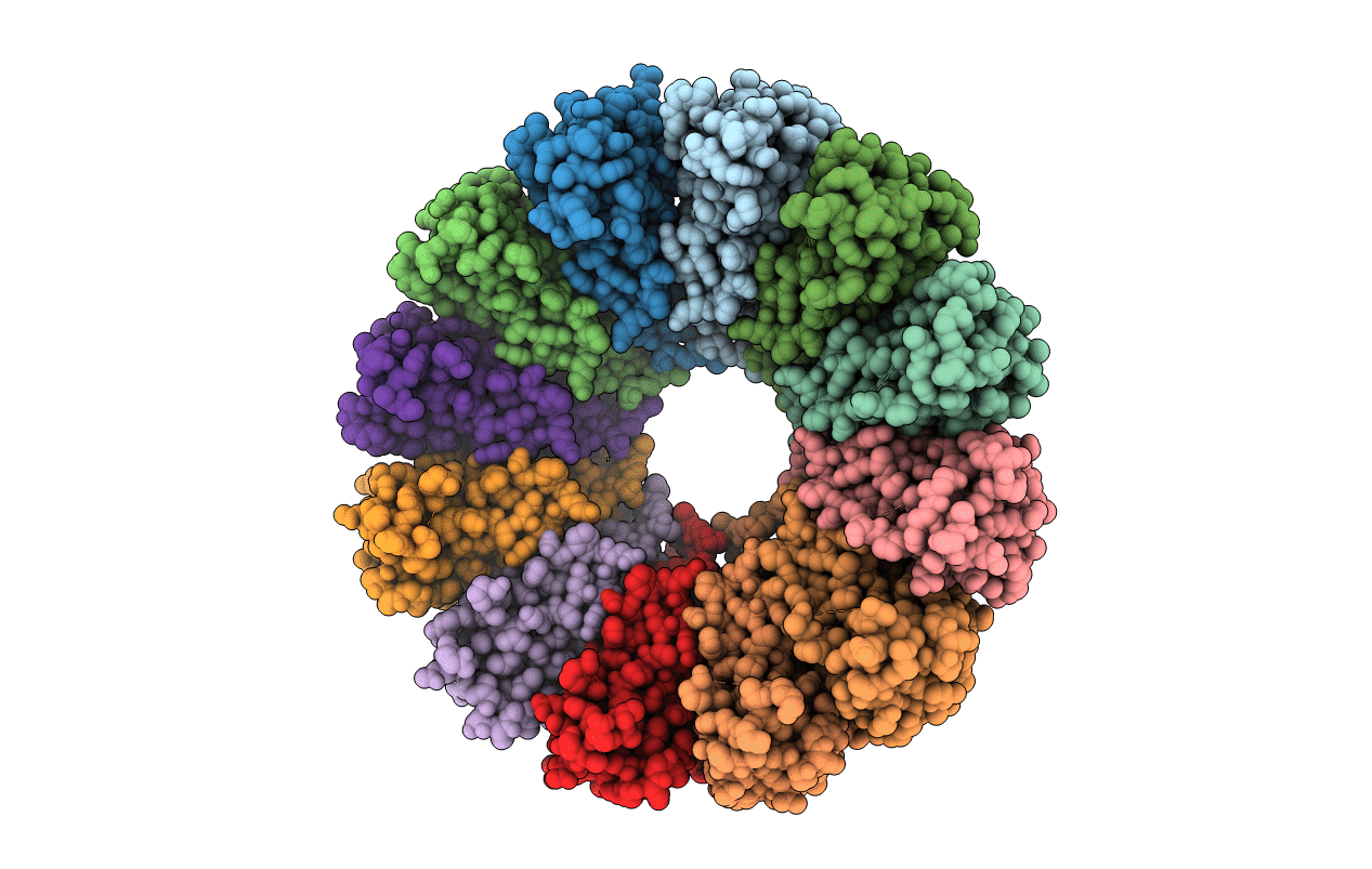 5T11 image