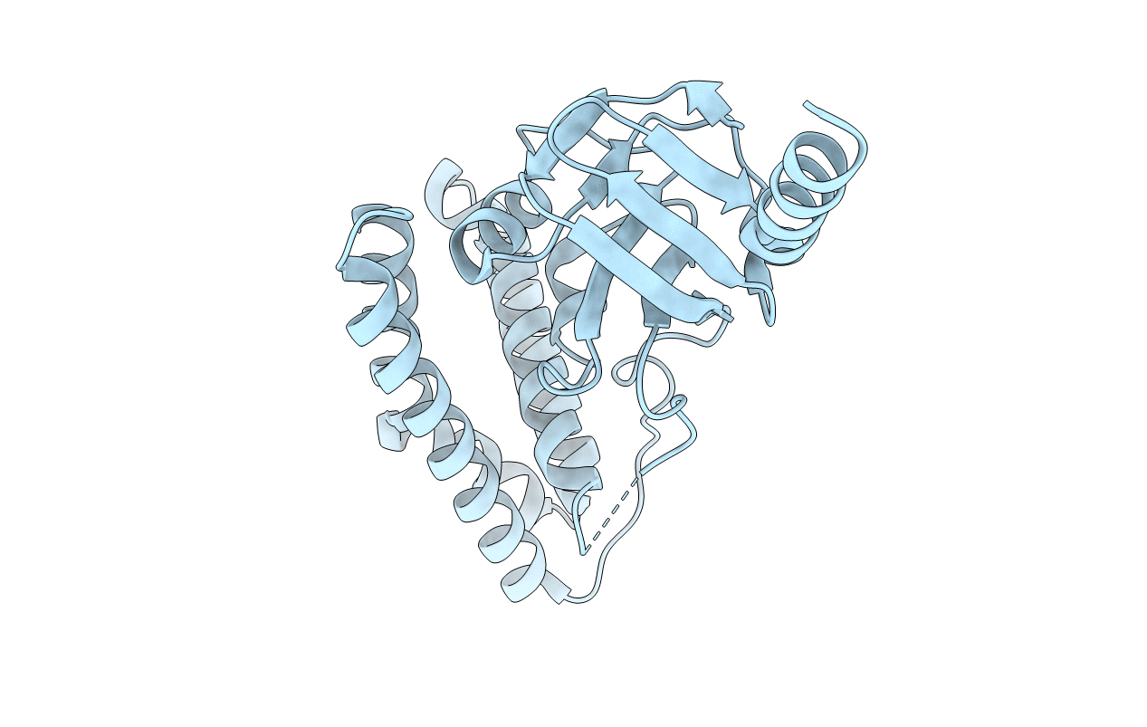 5T12 image