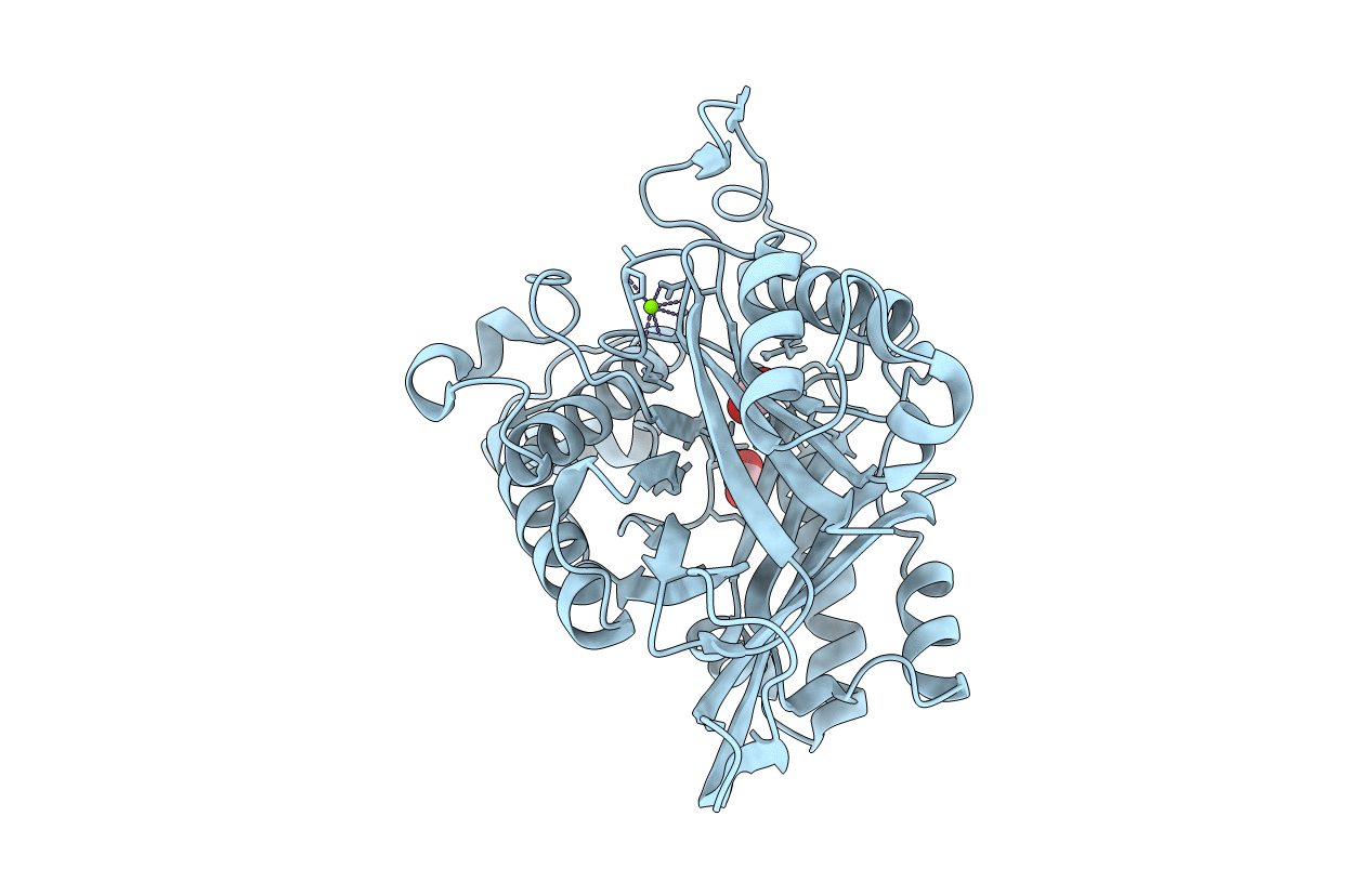 5T13 image