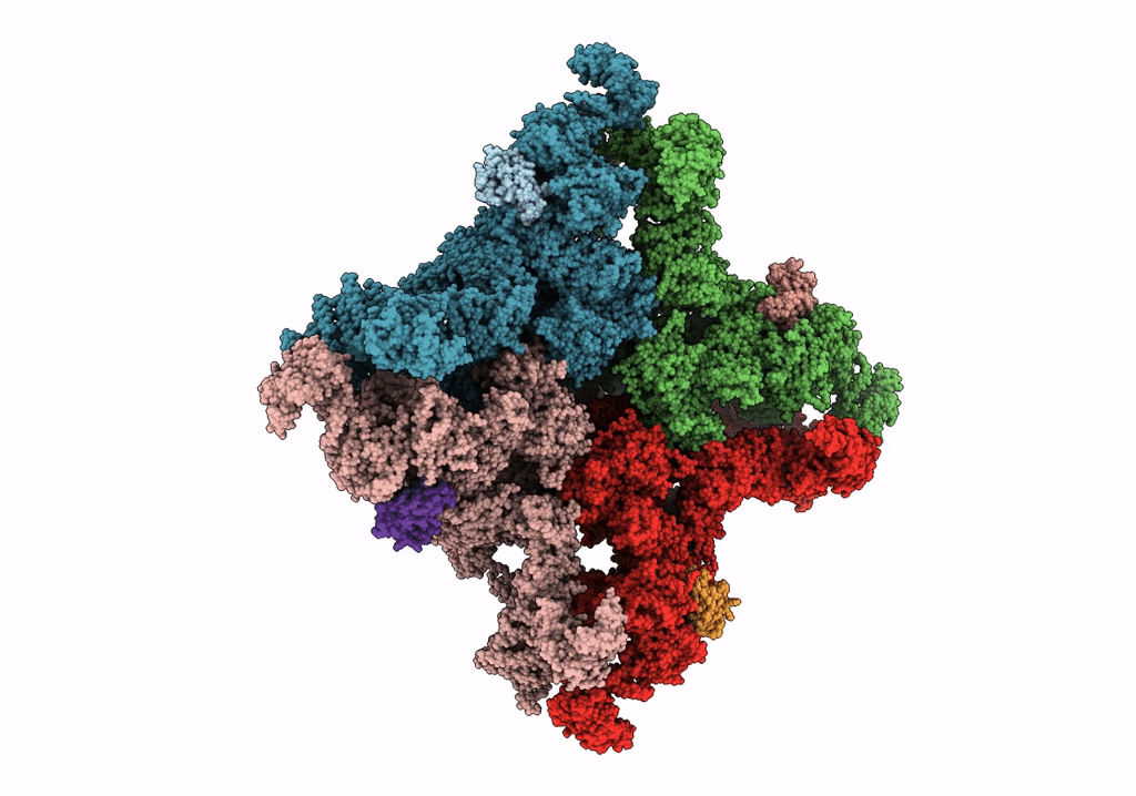 5T15 image