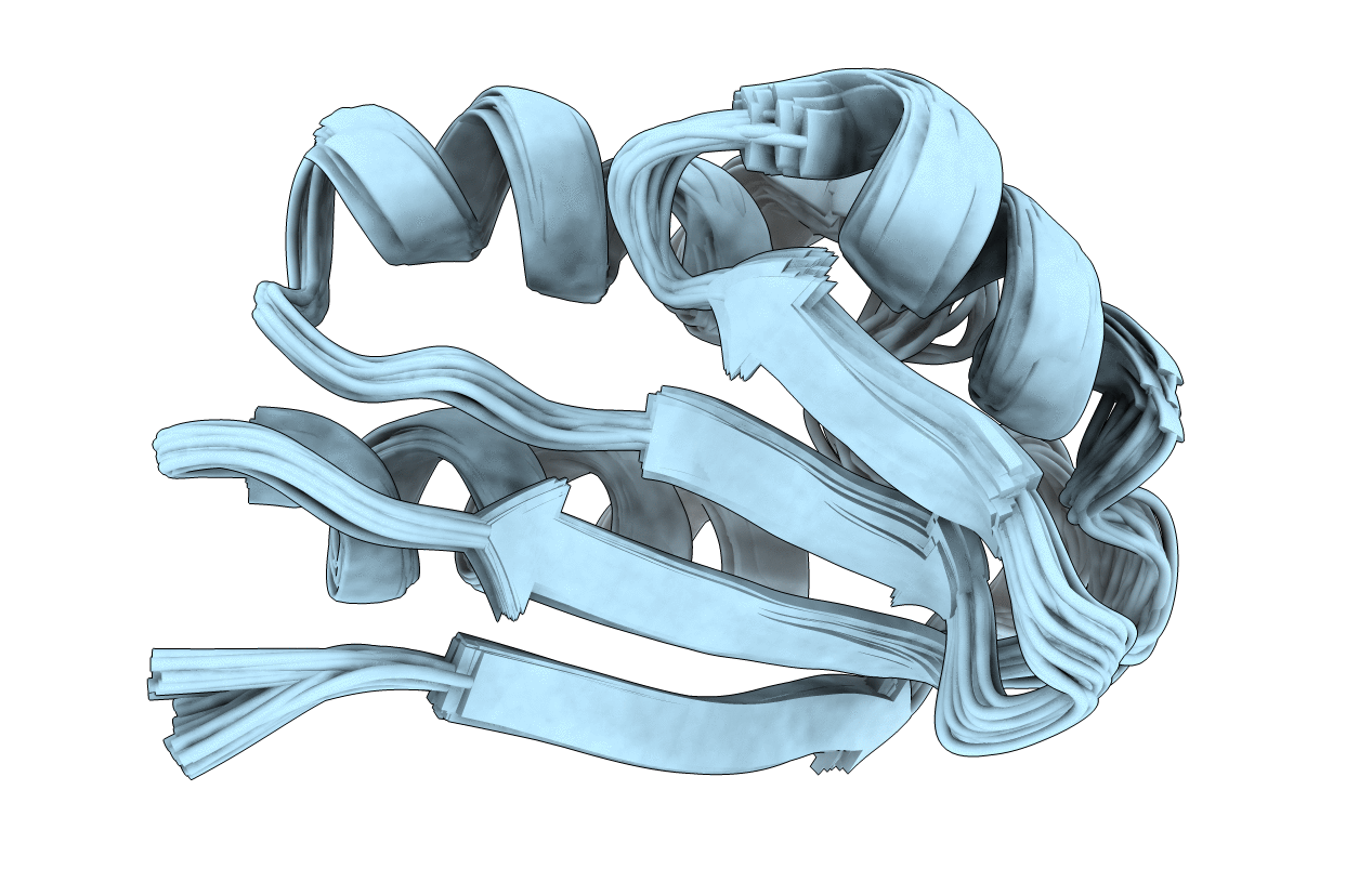 5T17 image
