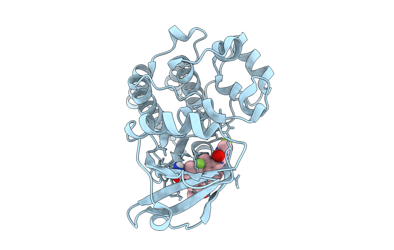 5T18 image