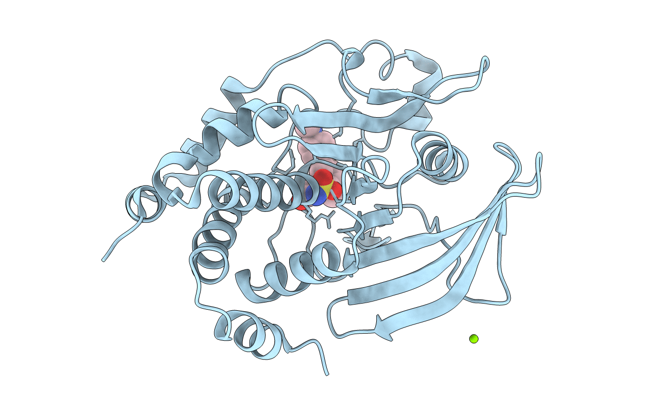 5T19 image