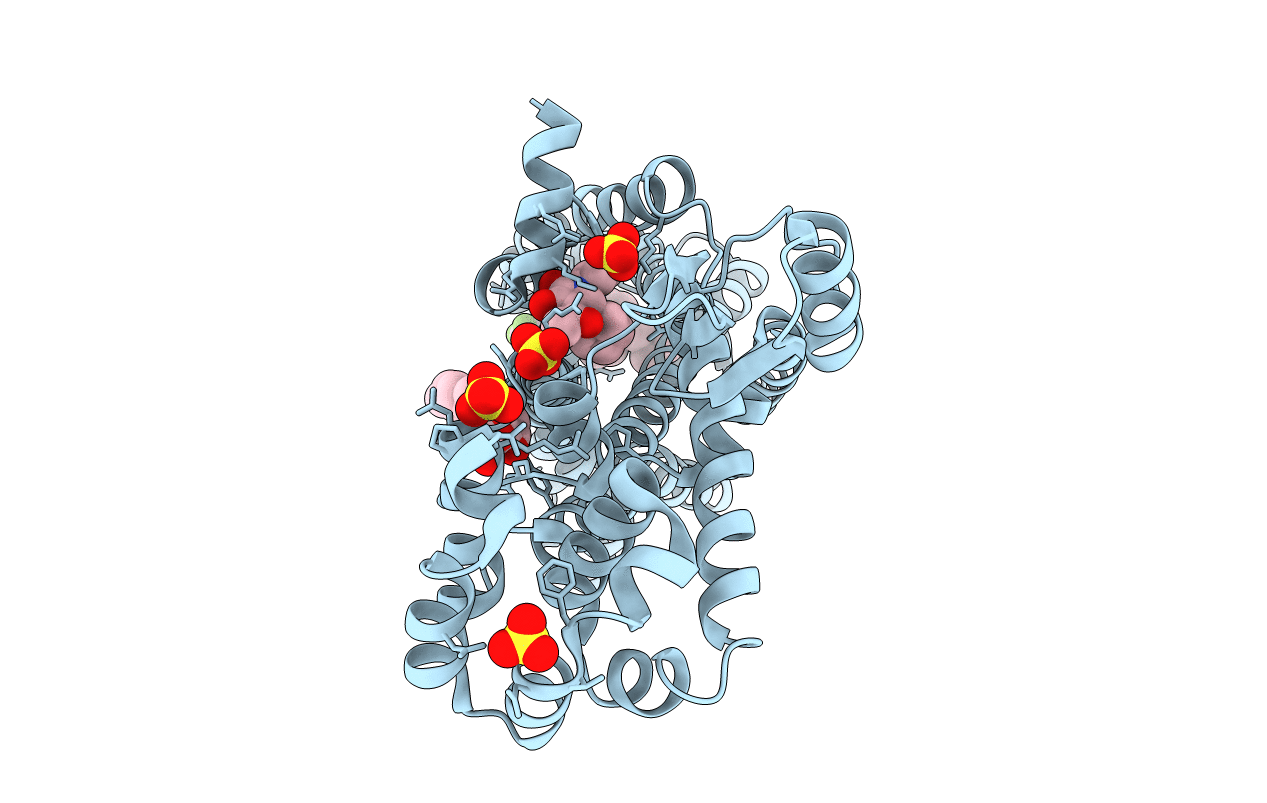 5t1a image