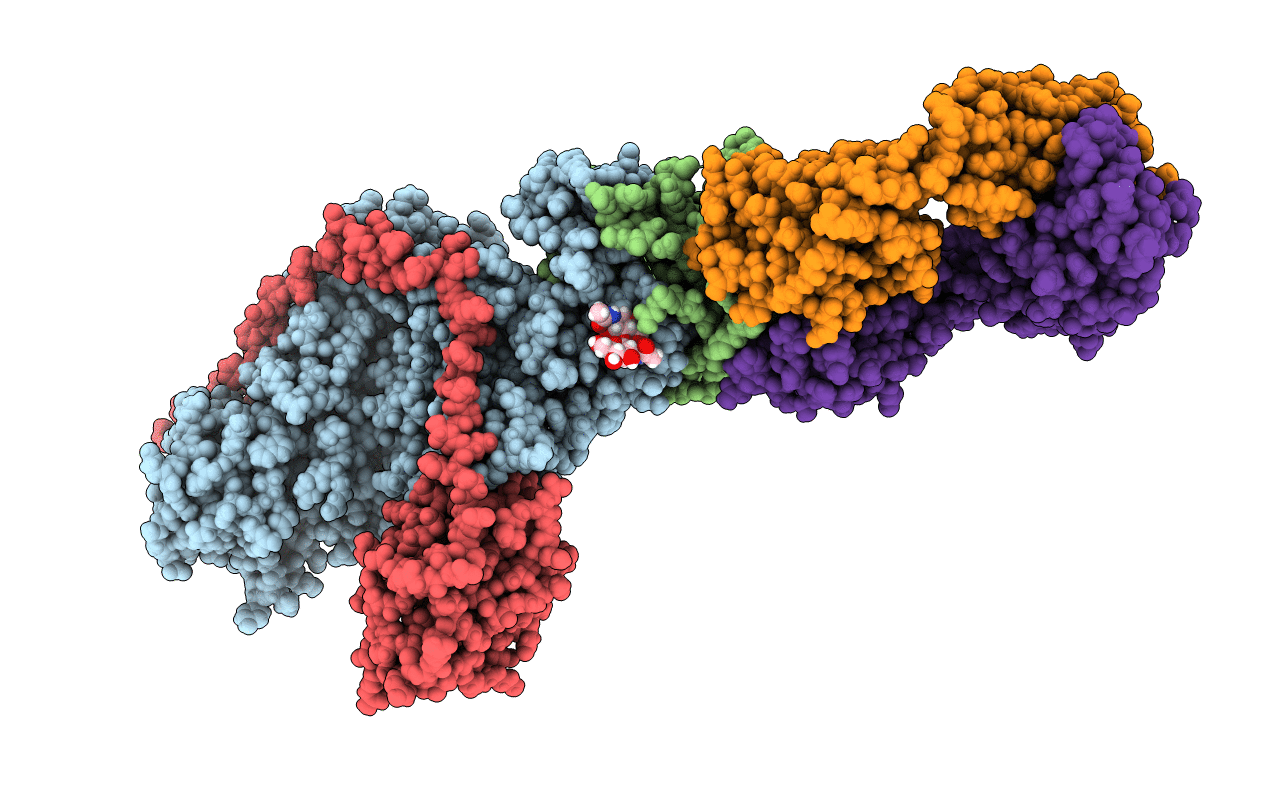 5T1D image