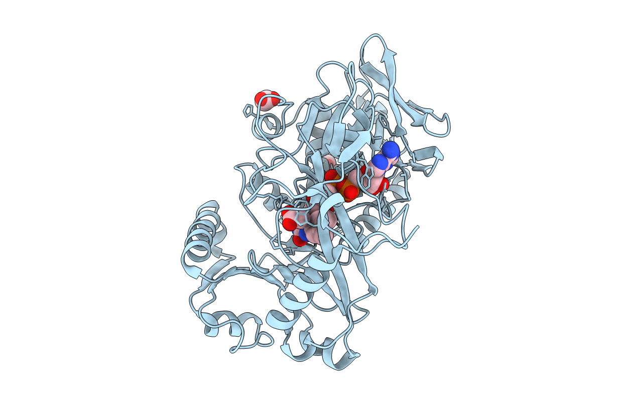 5T1E image
