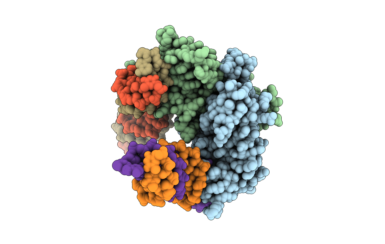 5T1J image
