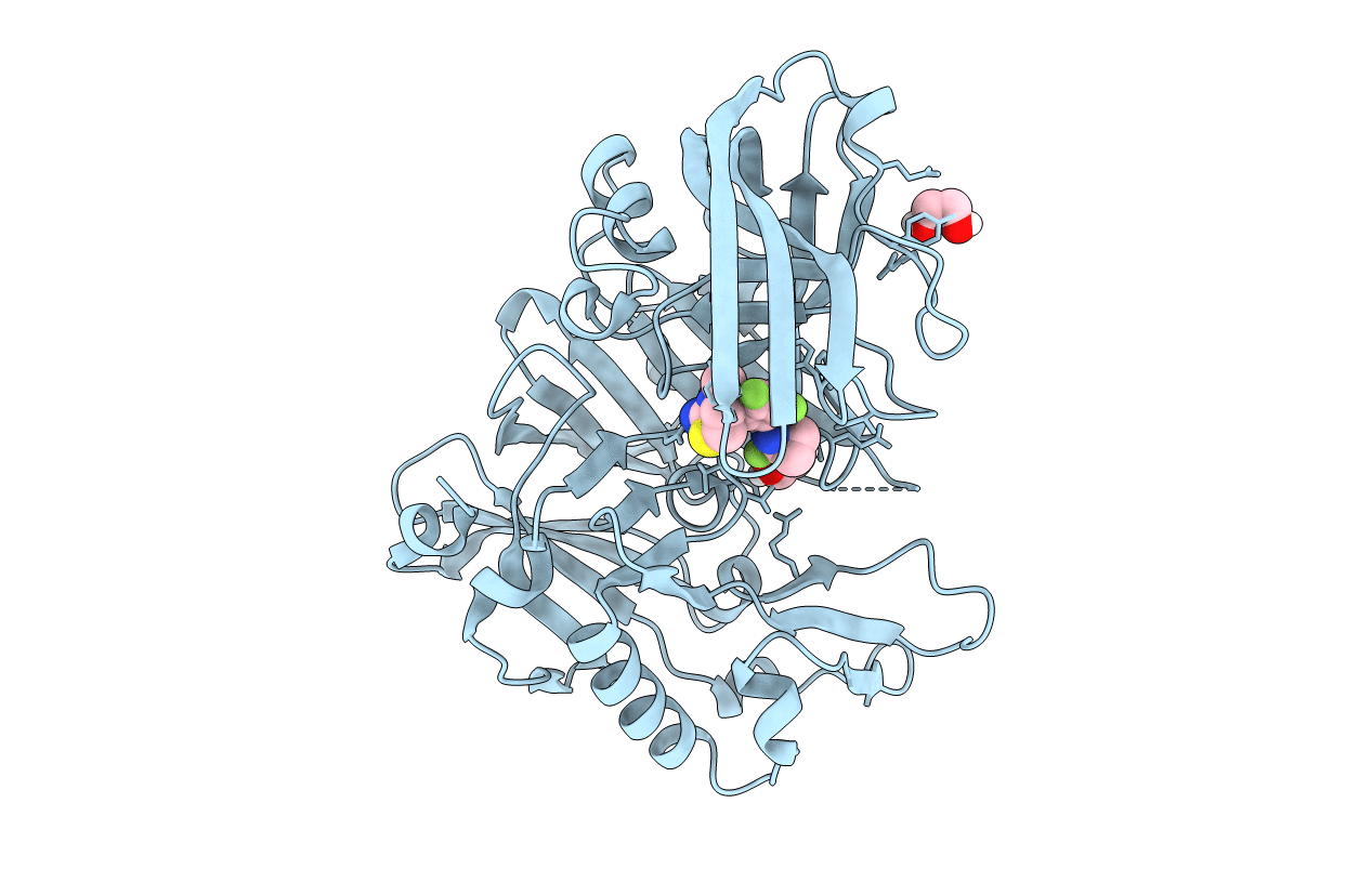 5T1U image