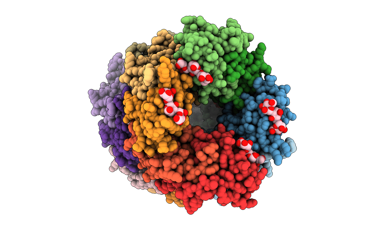 5T20 image
