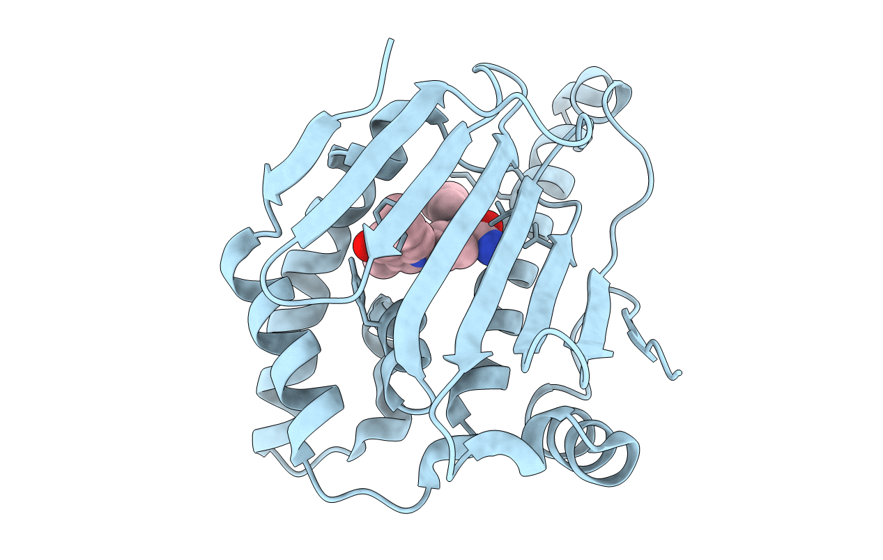 5T21 image