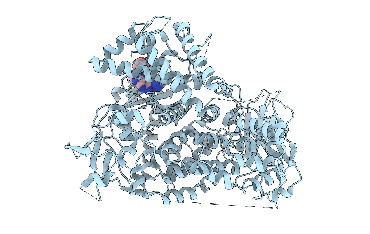 5T23 image