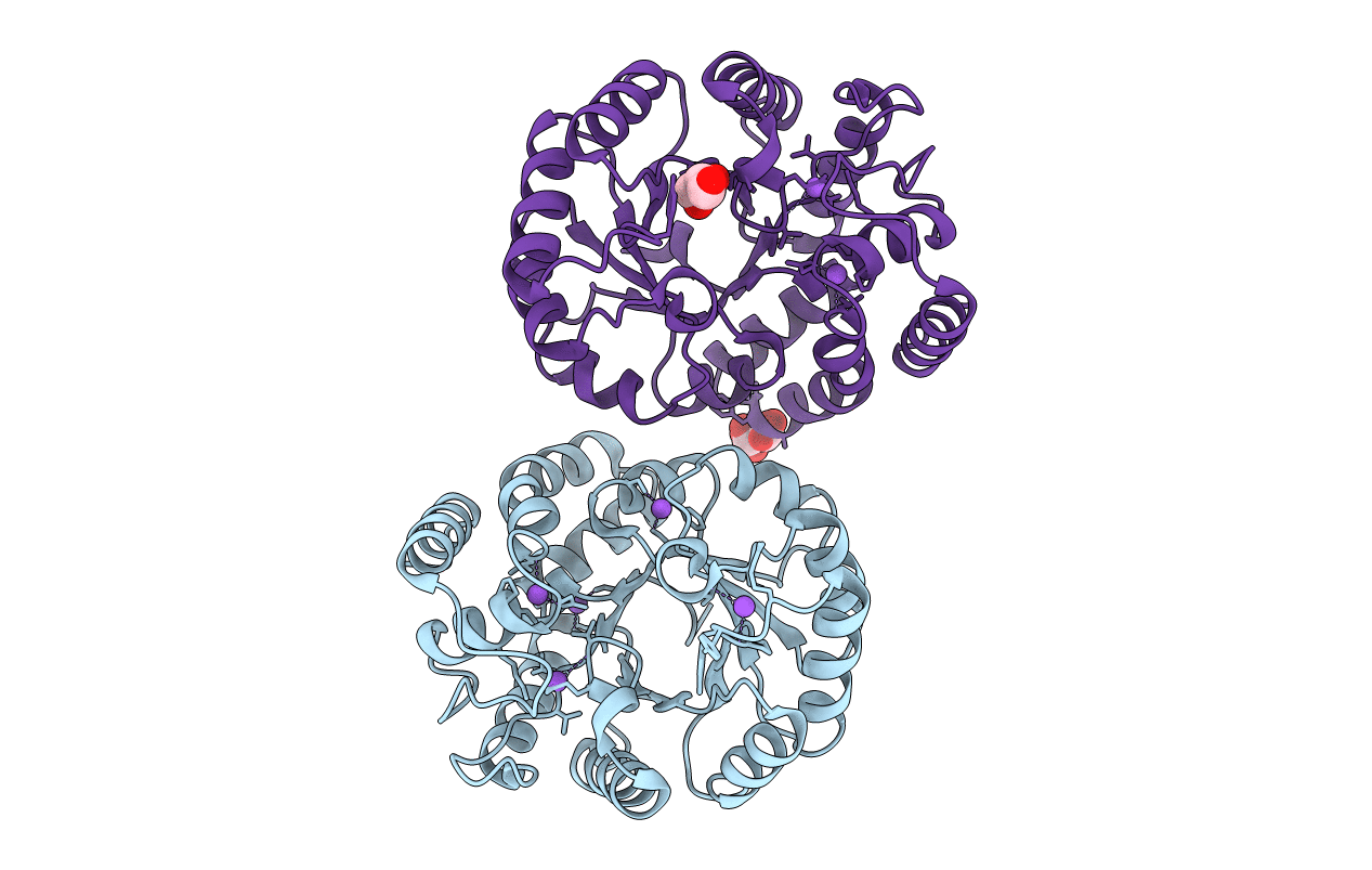 5T26 image