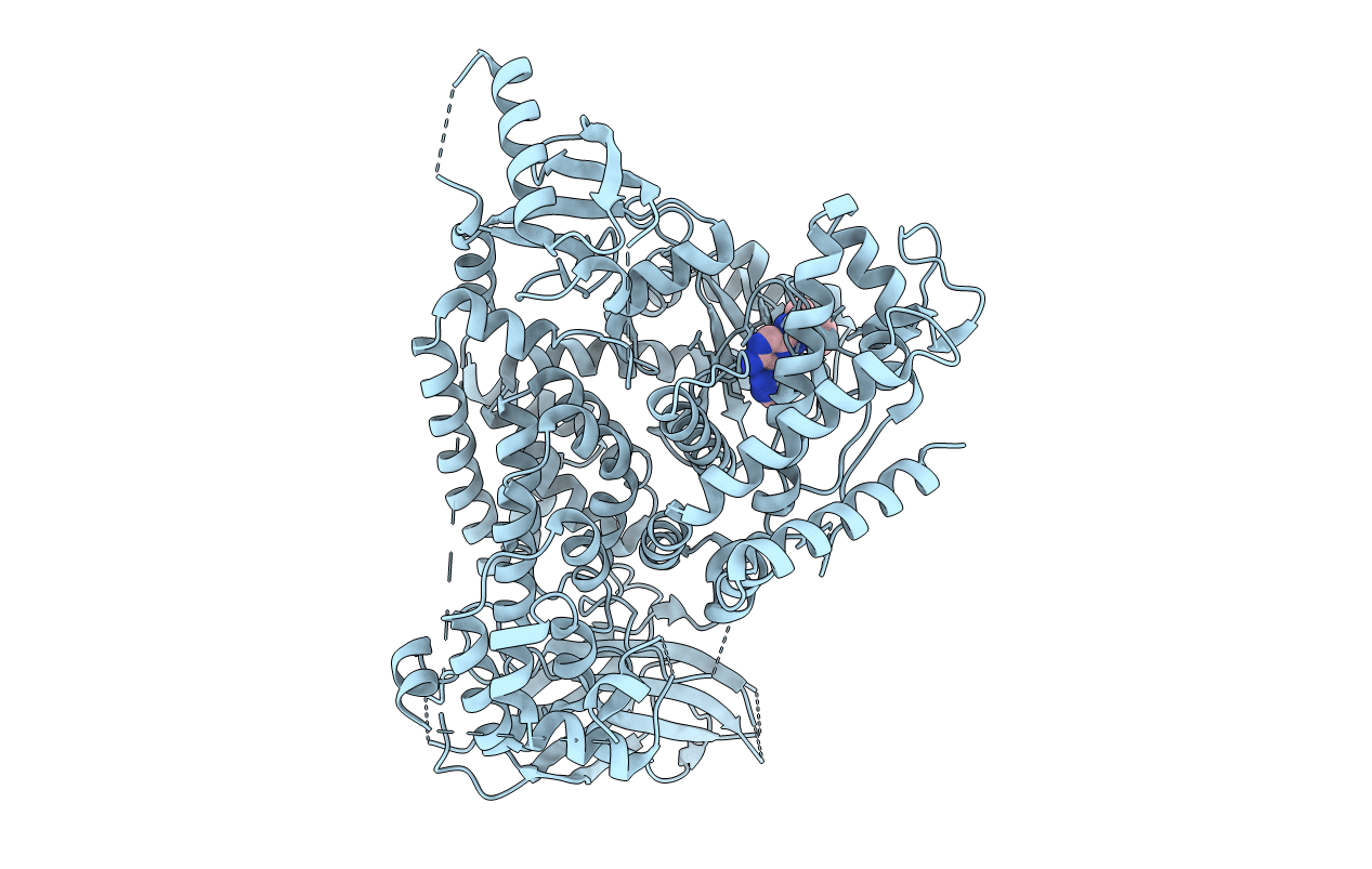5T28 image