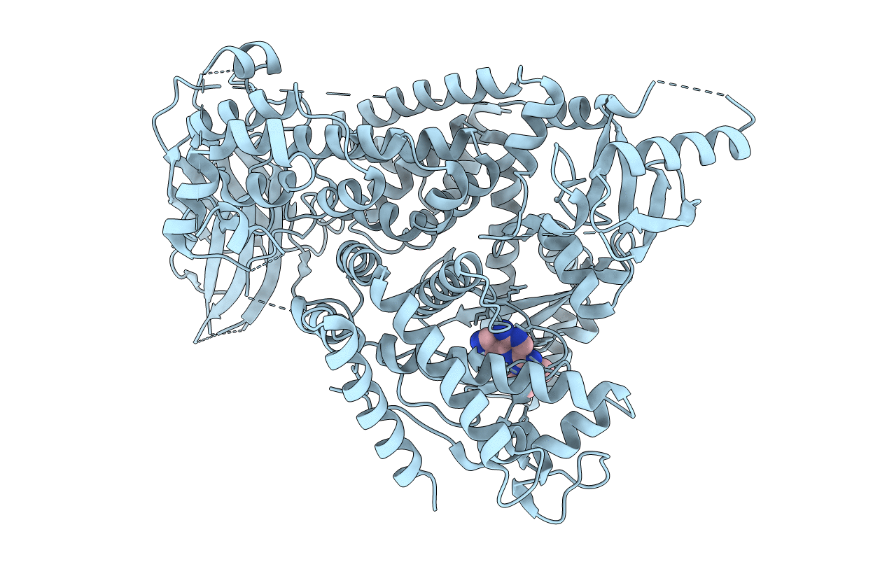 5T2B image