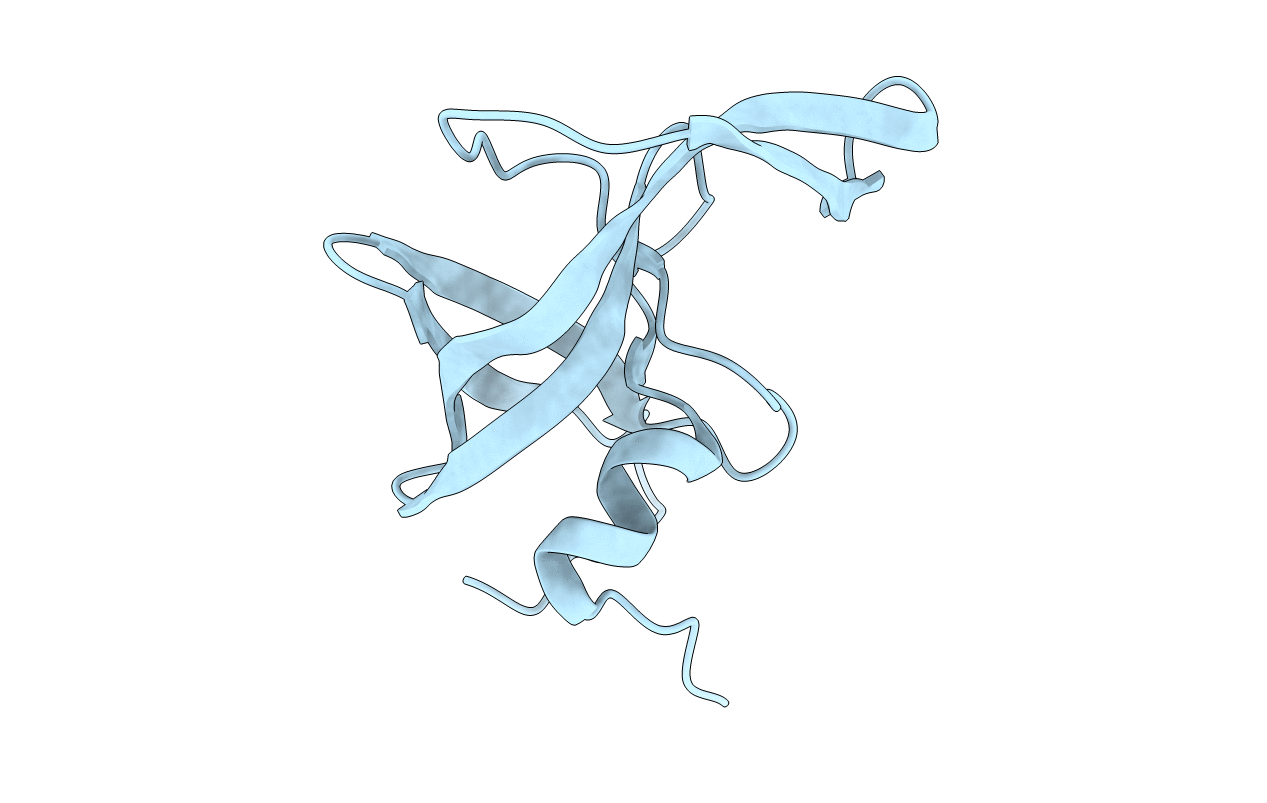 5T2E image