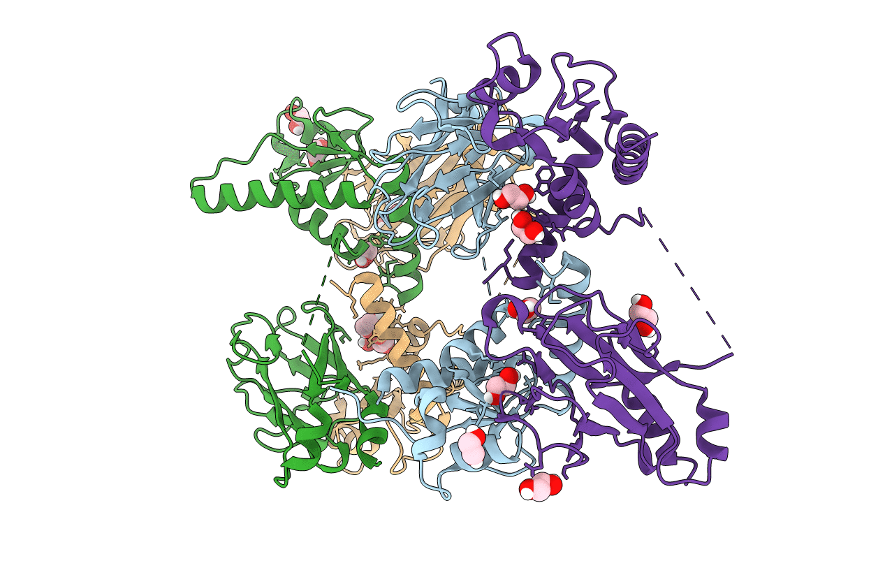 5T2F image