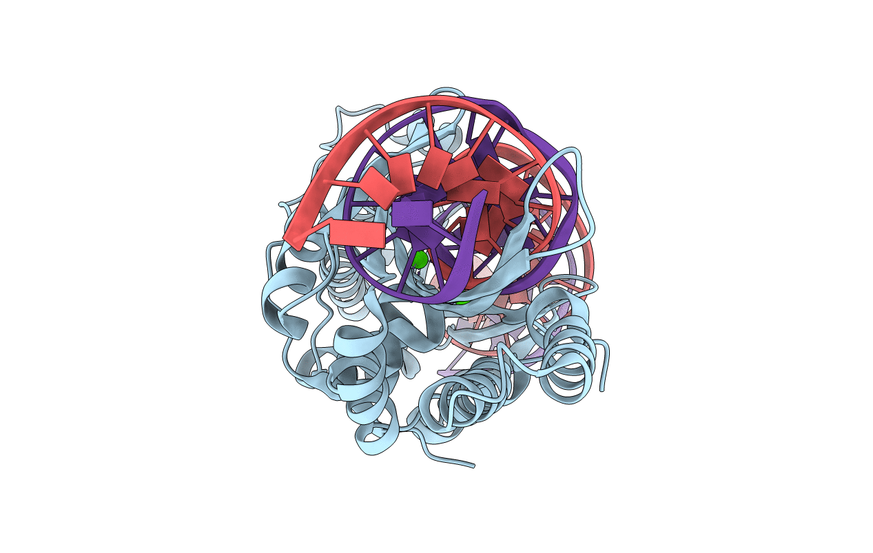 5T2H image