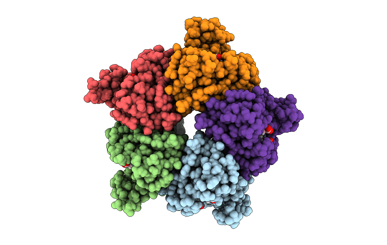 5T2K image