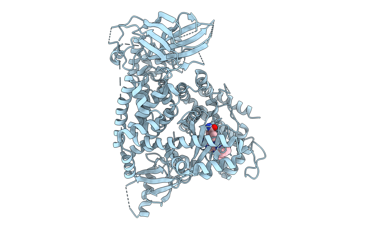 5T2M image