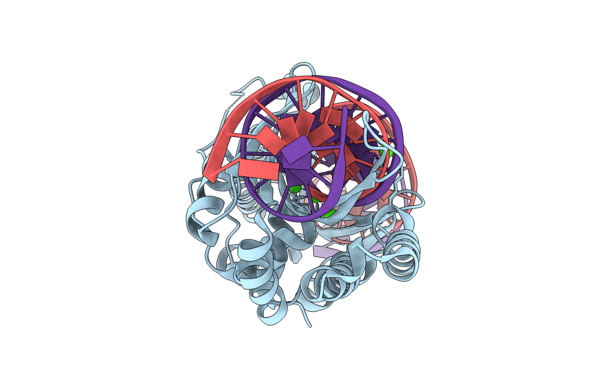 5T2N image