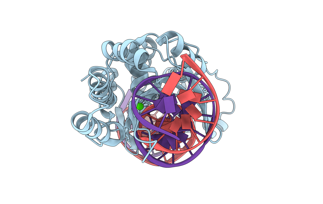 5T2O image