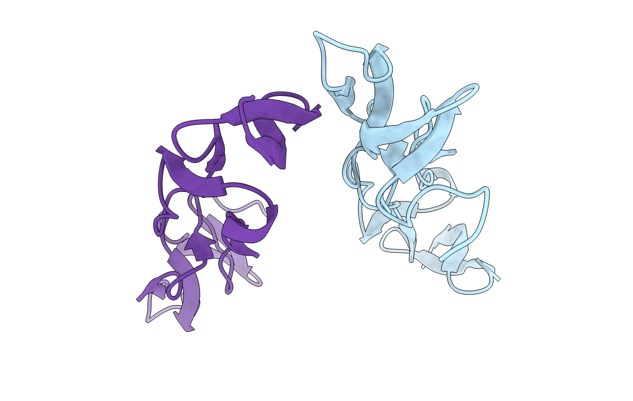 5T2R image