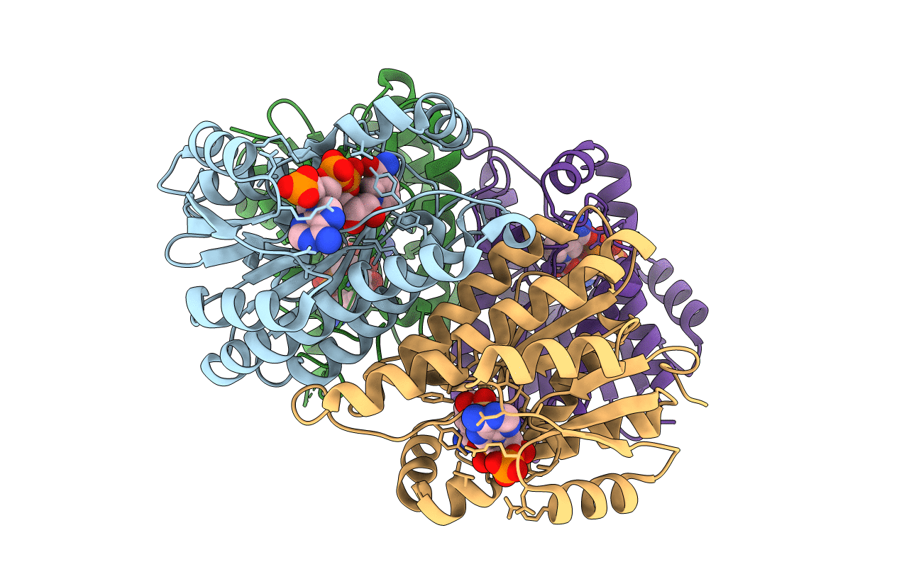 5T2U image