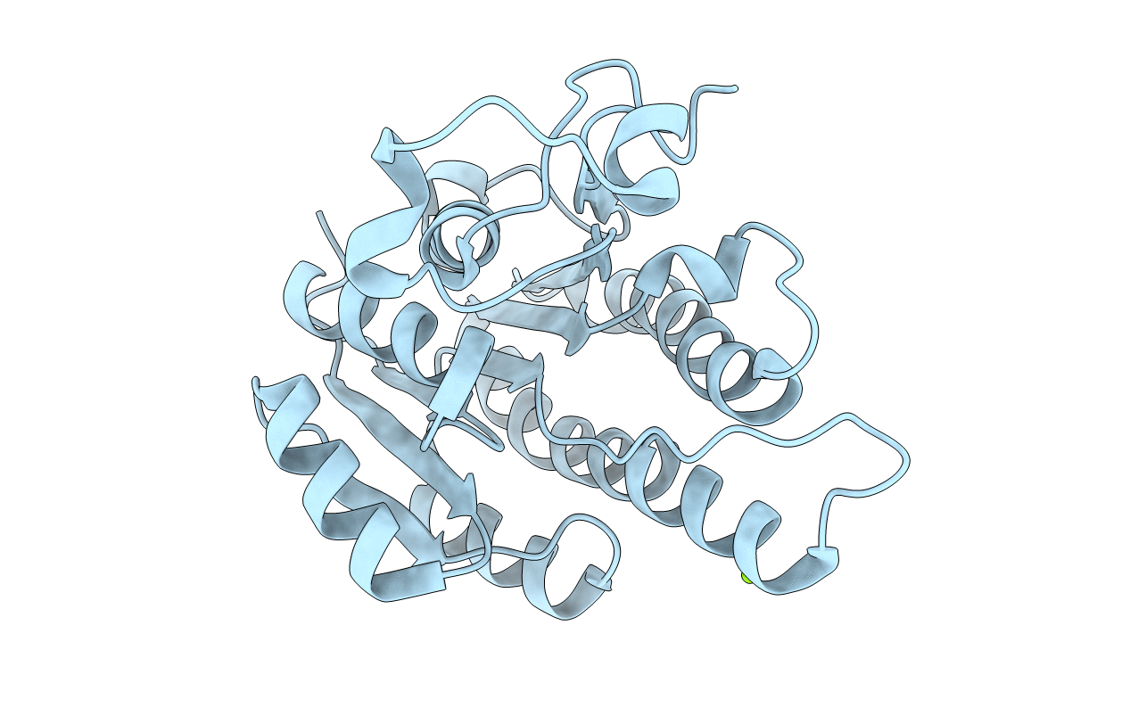 5T2V image