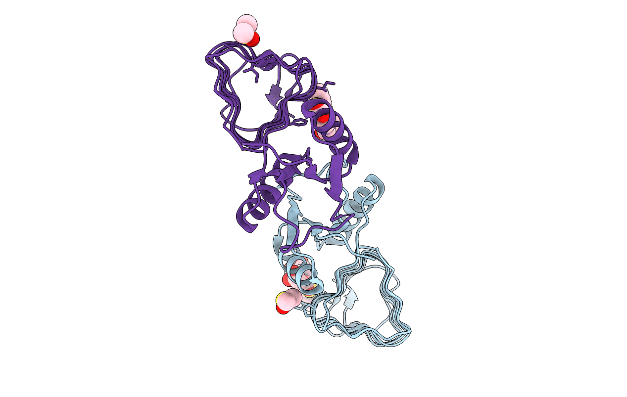 5T2Y image