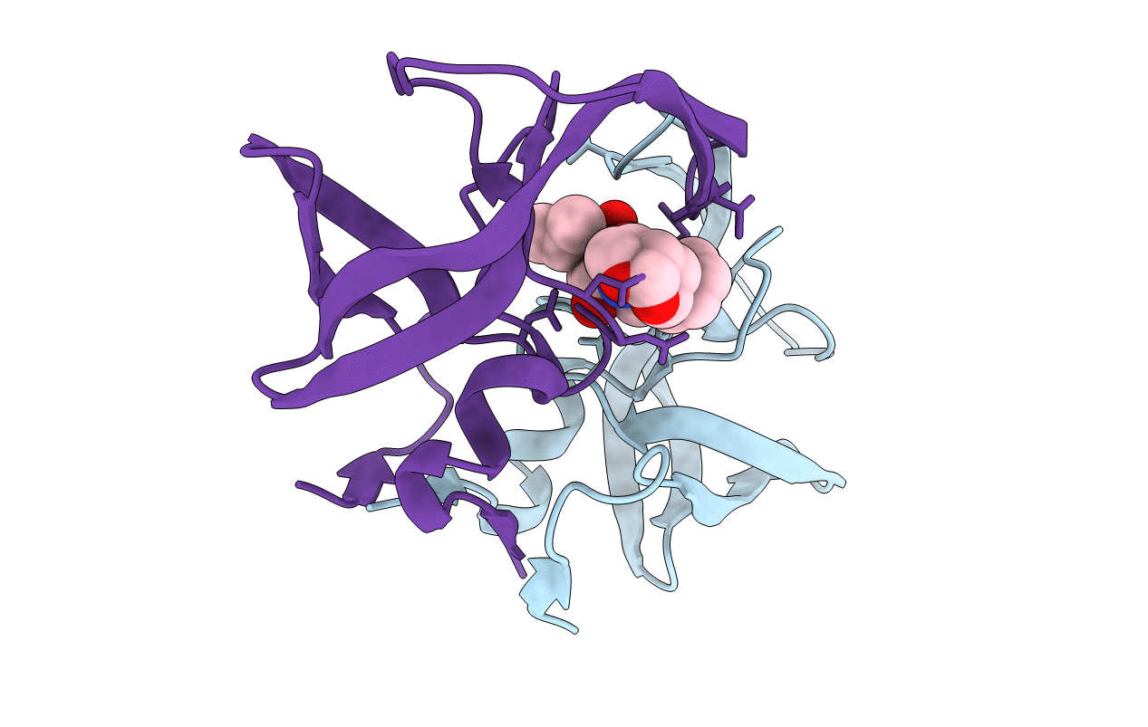 5T2Z image