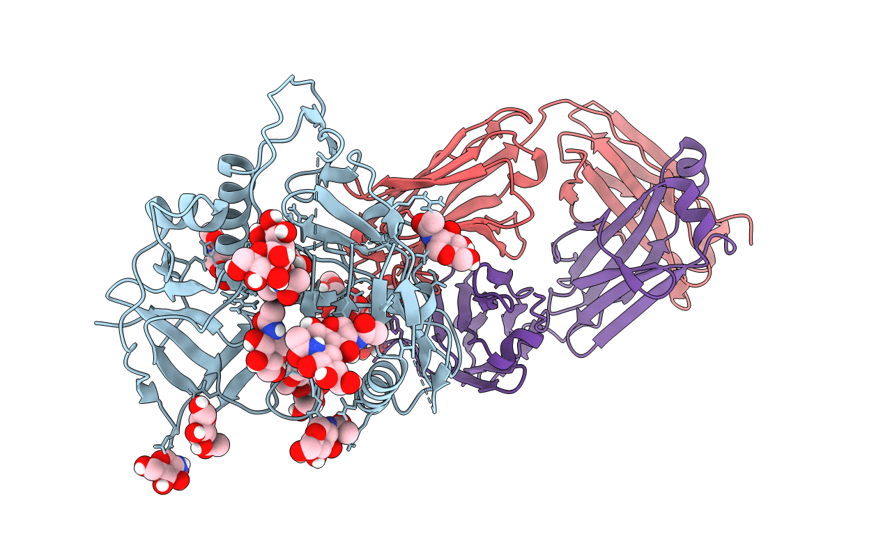 5T33 image