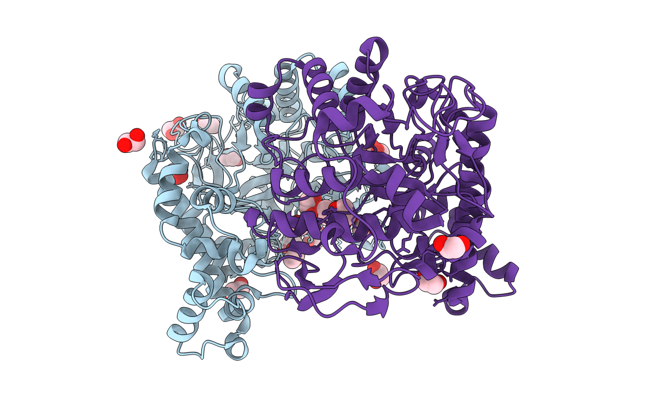 5T3B image