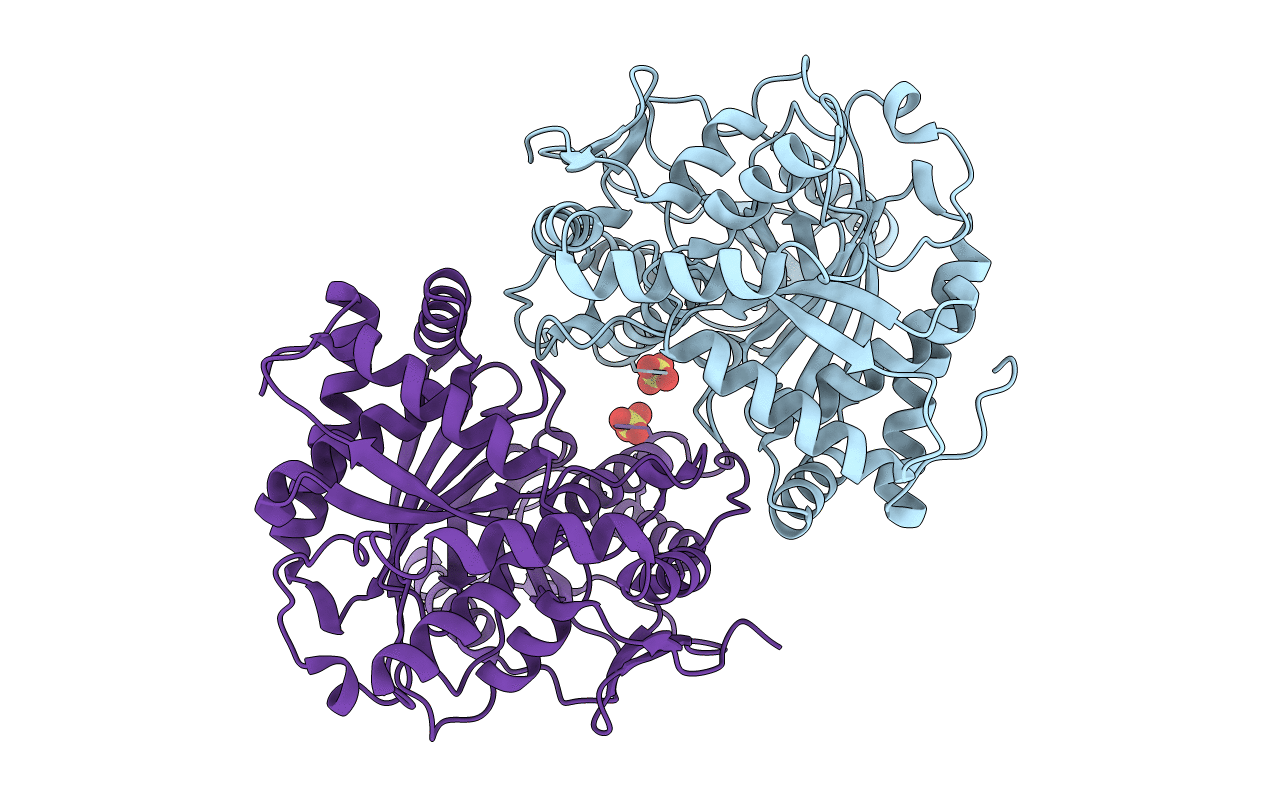 5T3E image
