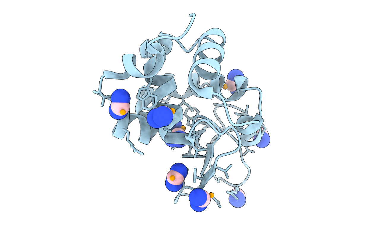 5T3F image
