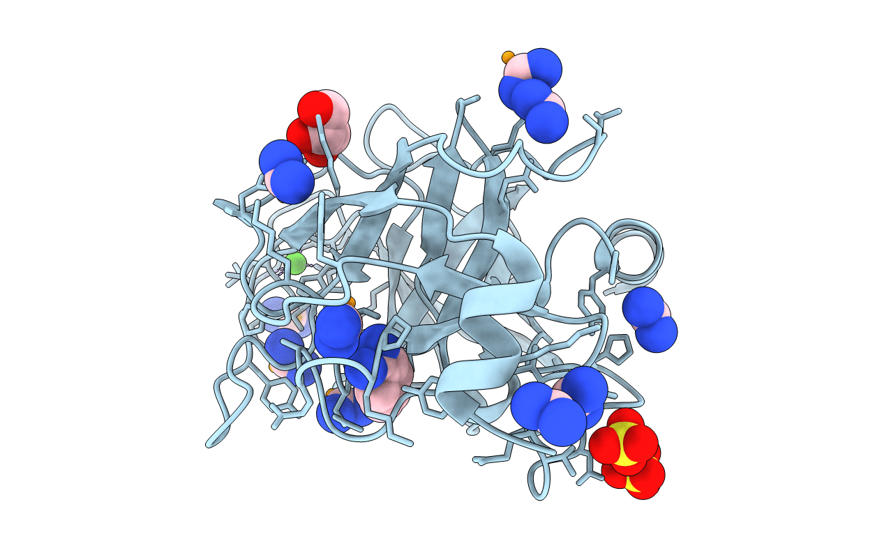 5T3H image