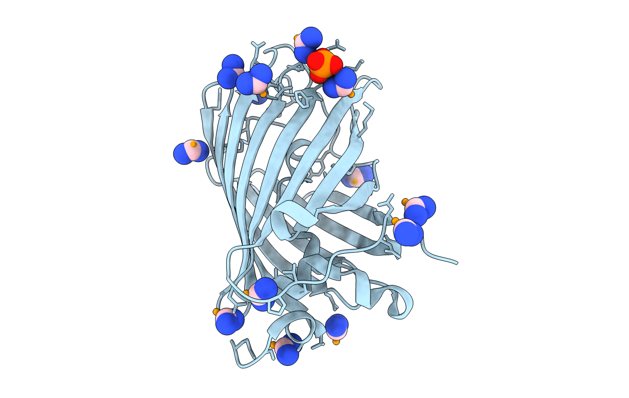 5T3I image