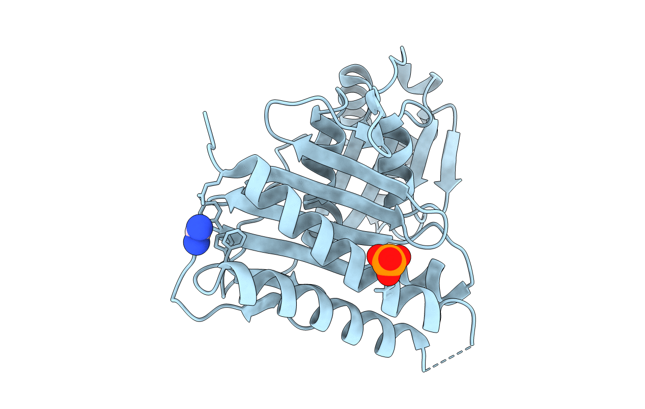 5T3J image