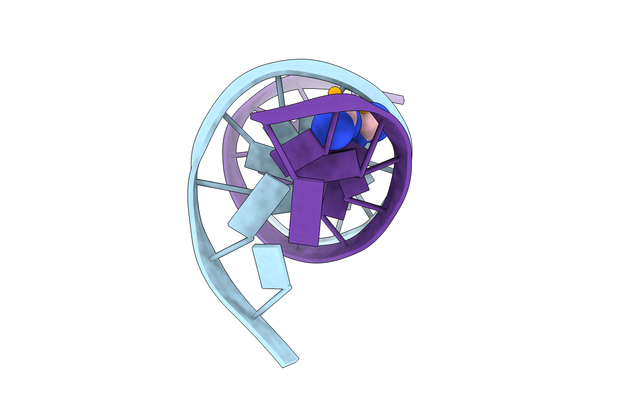 5T3L image
