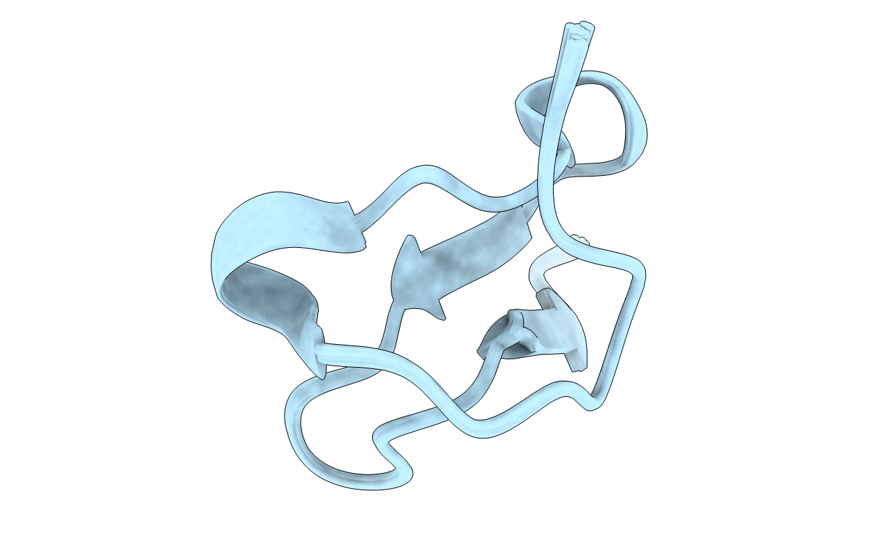 5T3M image