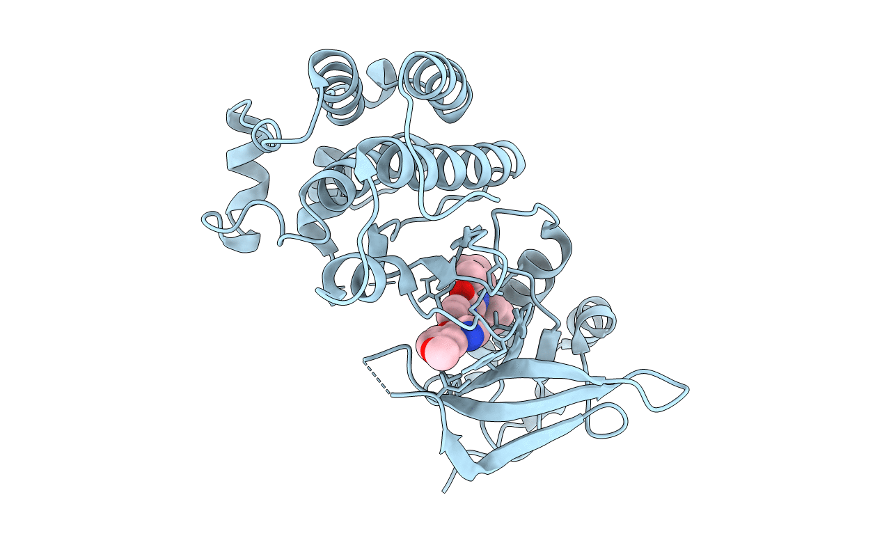 5T3Q image