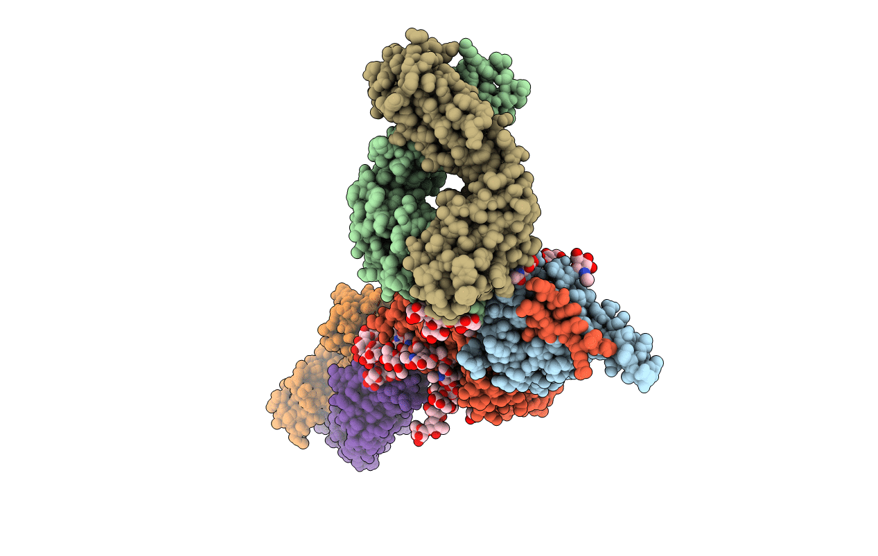 5T3S image